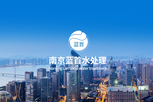 姚安建站-南京蓝首水处理设备有限公司