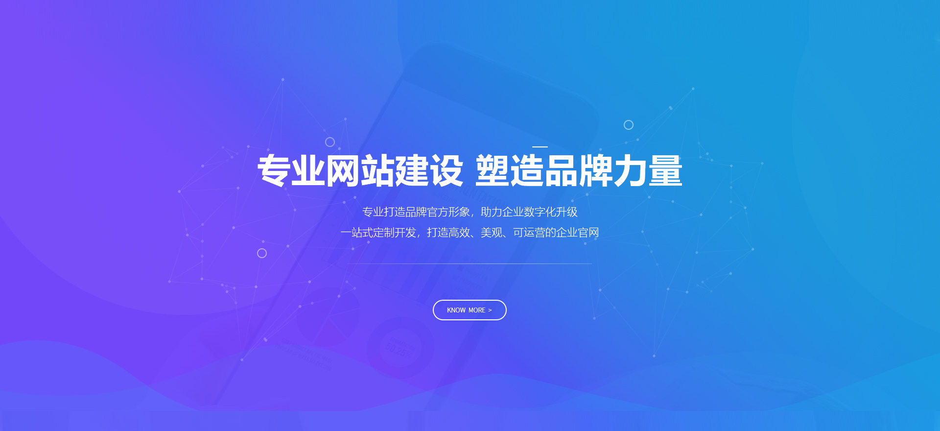 禄丰建站-专业网站建设 塑造品牌力量