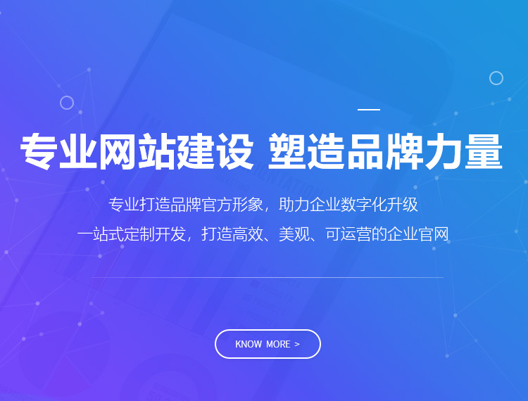 禄丰建站-专业网站建设 塑造品牌力量